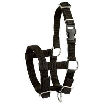 Alpaca Halter, adjustable,
