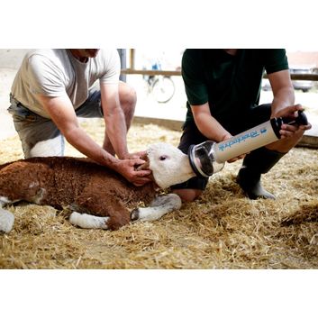 Dr Bron HK Calf Resuscitator alternative