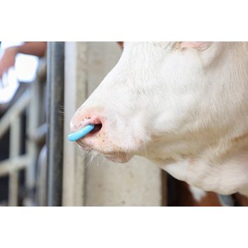 Cattle Weaner SuckStop alternative