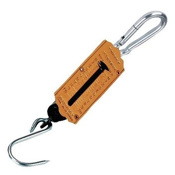 Spring Scale