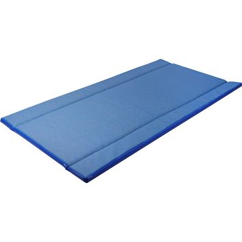 Disinfection Mat Standard