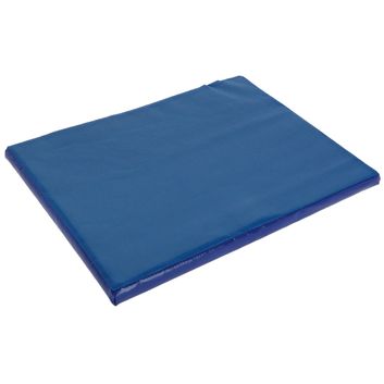 Disinfection Mat, small,