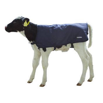 Calf Blanket EasyWear, light alternative