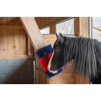 Half-round Scratching Brush Betty XL alternative