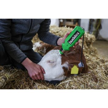 Battery-operated Horn Remover alternative