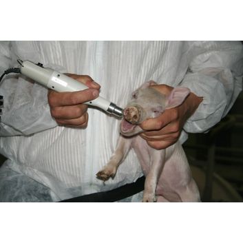 Cordless Tooth Grinder ProPig, alternative