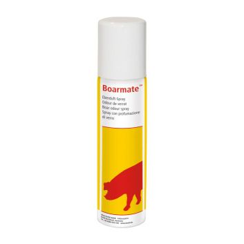 Boar Scent Spray Boarmate