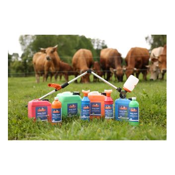 Daisy Paint incl. brush, 750ml