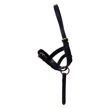 Hy Equestrian Leather Foal Slip Black alternative
