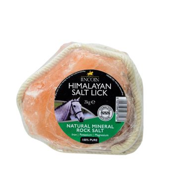 Lincoln Himalayan Salt Lick alternative