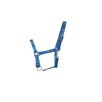 Hy Equestrian Economy Plus Headcollar Kingfisher