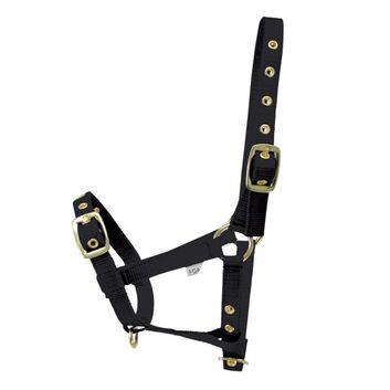 Hy Equestrian Foal Headcollar Black