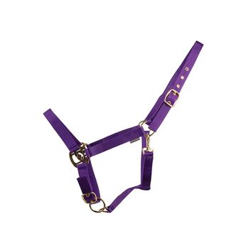 Hyconic Headcollar Head Collar Purple