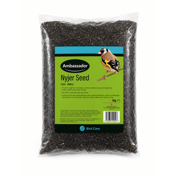 Ambassador Nyjer Seed