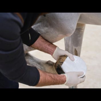 NAF NaturalintX Hoof Poultice - 3 Pack alternative