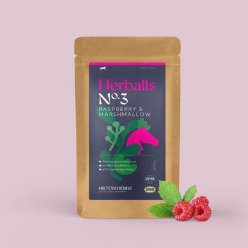 Hilton Herbs Herballs No3raspberry &amp; Marshmallow Marshmallow &amp; Raspberry
