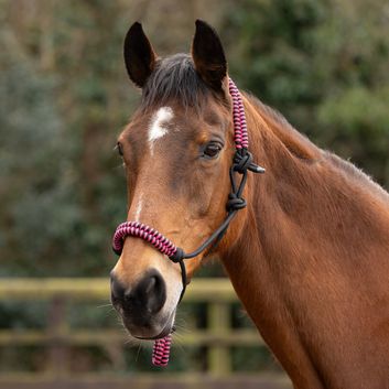 Hy Equestrian Double Braid Rope Halter Pink