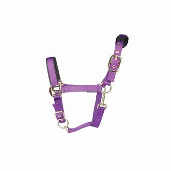 Hy Equestrian Deluxe Padded Headcollar Purple