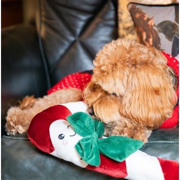 Rosewood Cupid &amp; Comet Clarke Candy Cane