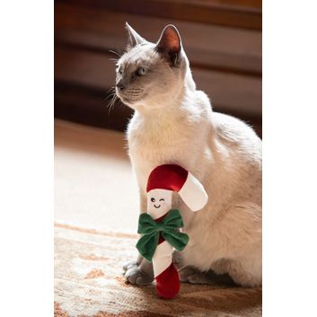 Rosewood Cupid &amp; Comet Claude Candy Cane