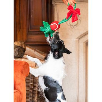Rosewood Cupid &amp; Comet Holly Jolly Rope Toy
