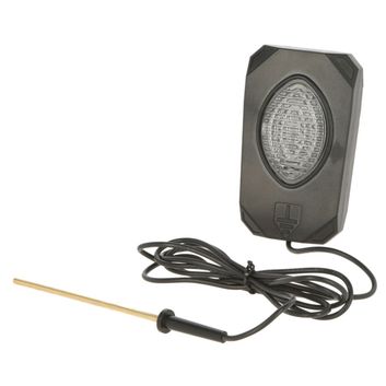 Rutland Pulse Flash