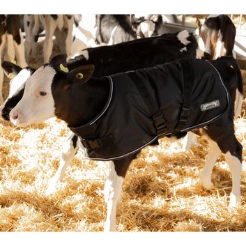 Agrimark Weather Guard Calf Jacket Black/Grey alternative