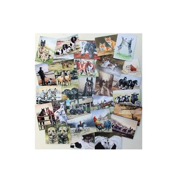 Caroline Cook Equestrian &amp; Countryside Cards