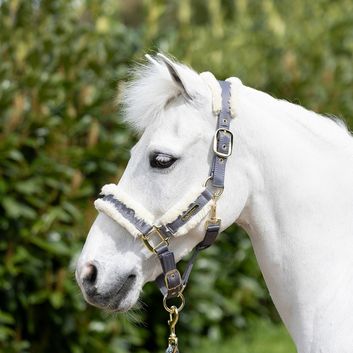 Coldstream Langlee Luxury Headcollar &amp; Lead Rope Grey