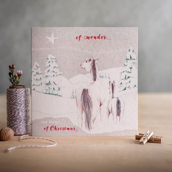 Deckled Edge Christmas Star Of Wonder
