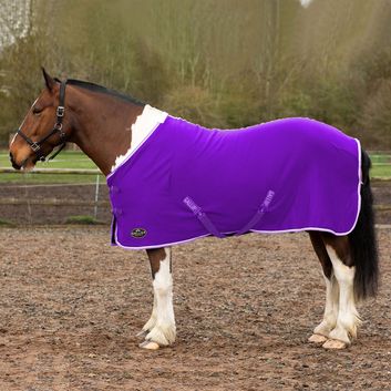 Gallop Premium Jersey Cooler Rug Purple/Wht/Lavender Purple/White/Lavender alternative
