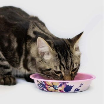 Joules Cambridge Floral Cat Bowl