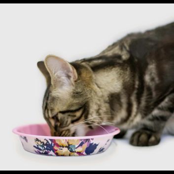 Joules Cambridge Floral Cat Bowl alternative