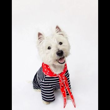 Joules Harbour Top &amp; Neckerchief Set alternative