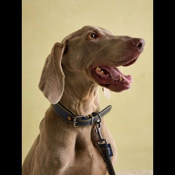 Joules Leather Dog Collar Navy