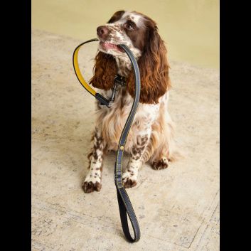 Joules Leather Dog Lead Navy alternative