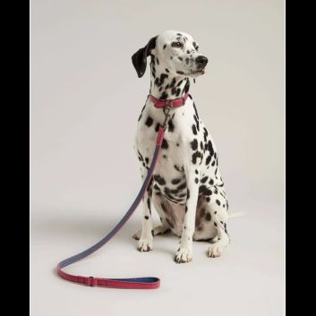 Joules Leather Dog Lead Navy Pink alternative