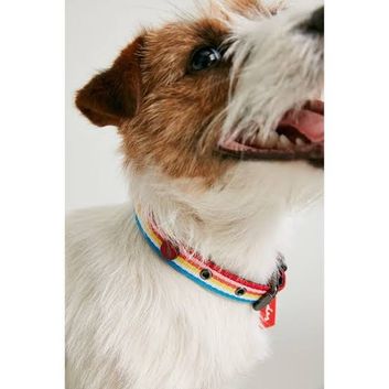 Joules Rainbow Stripe Dog Collar Small alternative