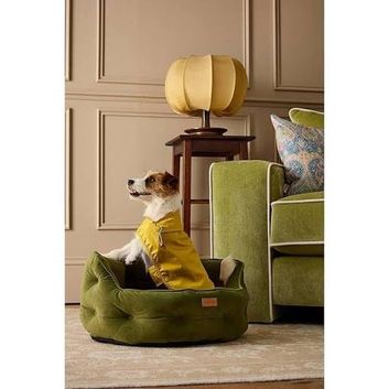 Joules Raincoat Antique Gold alternative