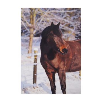 Kevin Milner Christmas Cards Bay Horse In The Snow