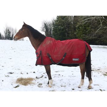 Kevin Milner Christmas Cards Horse In The Snow