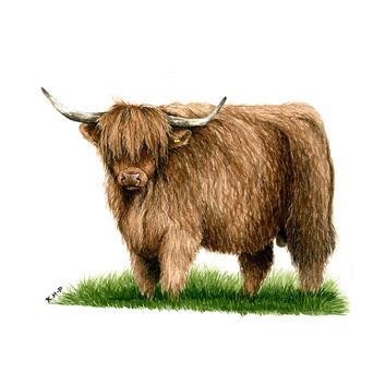 Kevin Milner Countryside Cards Highland Bull