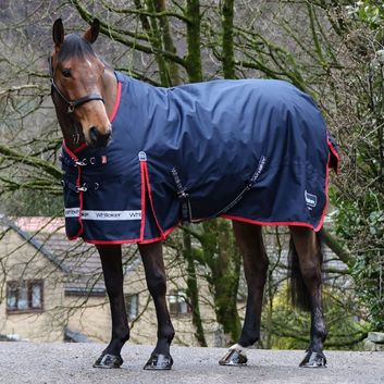 Whitaker R445 Rastrick V2 200g Standard Turnout Rug Navy