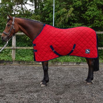 W-Horse Wr130 Mis 100g Stable Rug Red