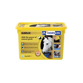 Horslyx Garlic Lick alternative