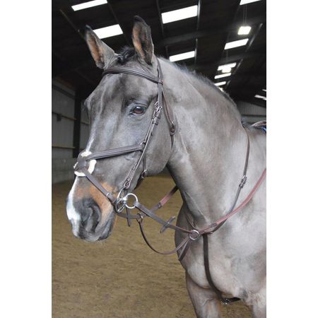 How to Use a Running Martingale: Velociti Havana Guide