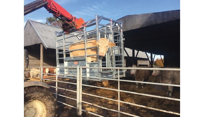 Buy Ritchie Steel Frame Calving Cube With Detachable Gate from £7,746.00