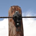 175 x Gallagher Wooden Post "W" Black Super Insulator additional 4