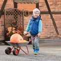 Rolly Toys Dual Wheel Children's Wheelbarrow additional 2