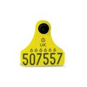 Single Replacement Cattle Tag additional 2